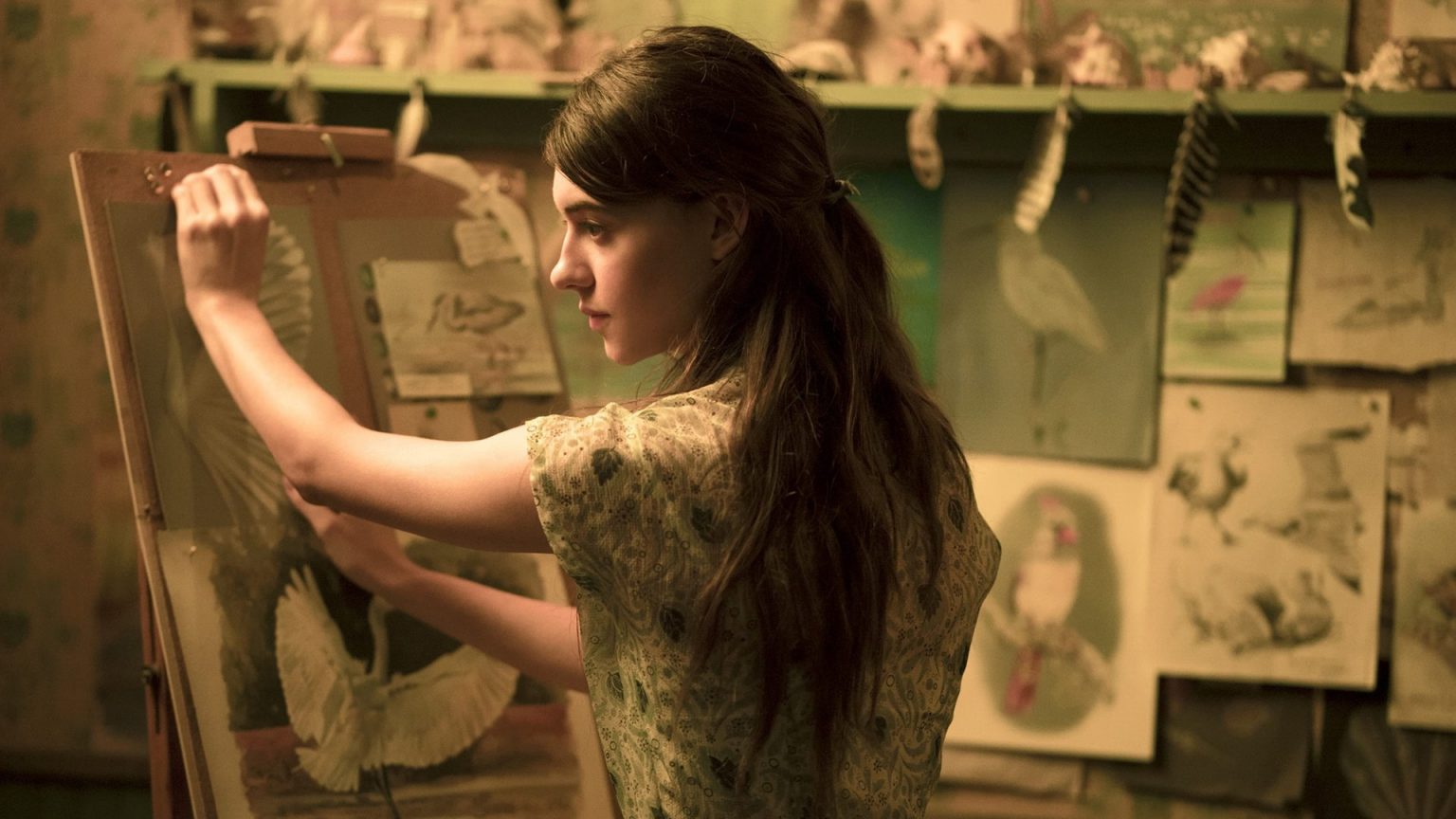 Where The Crawdads Sing จากปมรักสู่ปริศนาที่ซ่อนเร้นภายใต้ความงามของธรรมชาติ