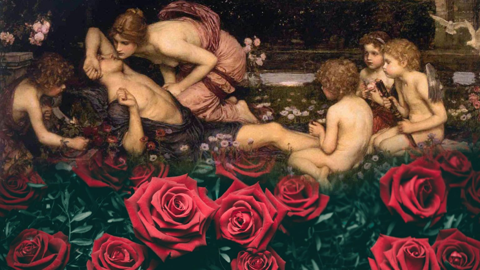 เปิดตำนานดอกกุหลาบแดงสัญลักษณ์แห่งวันวาเลนไทน์