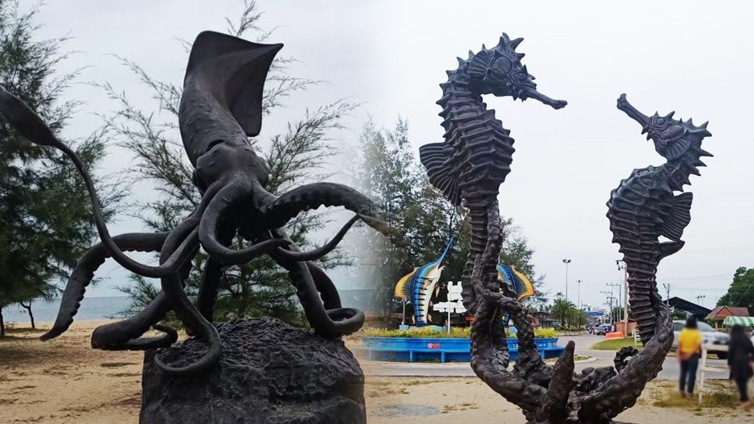 หมึกก็มา ม้าน้ำก็มี ตัวละ 955,647 บาท ทต.ปะนาเระ จ.ปัตตานี