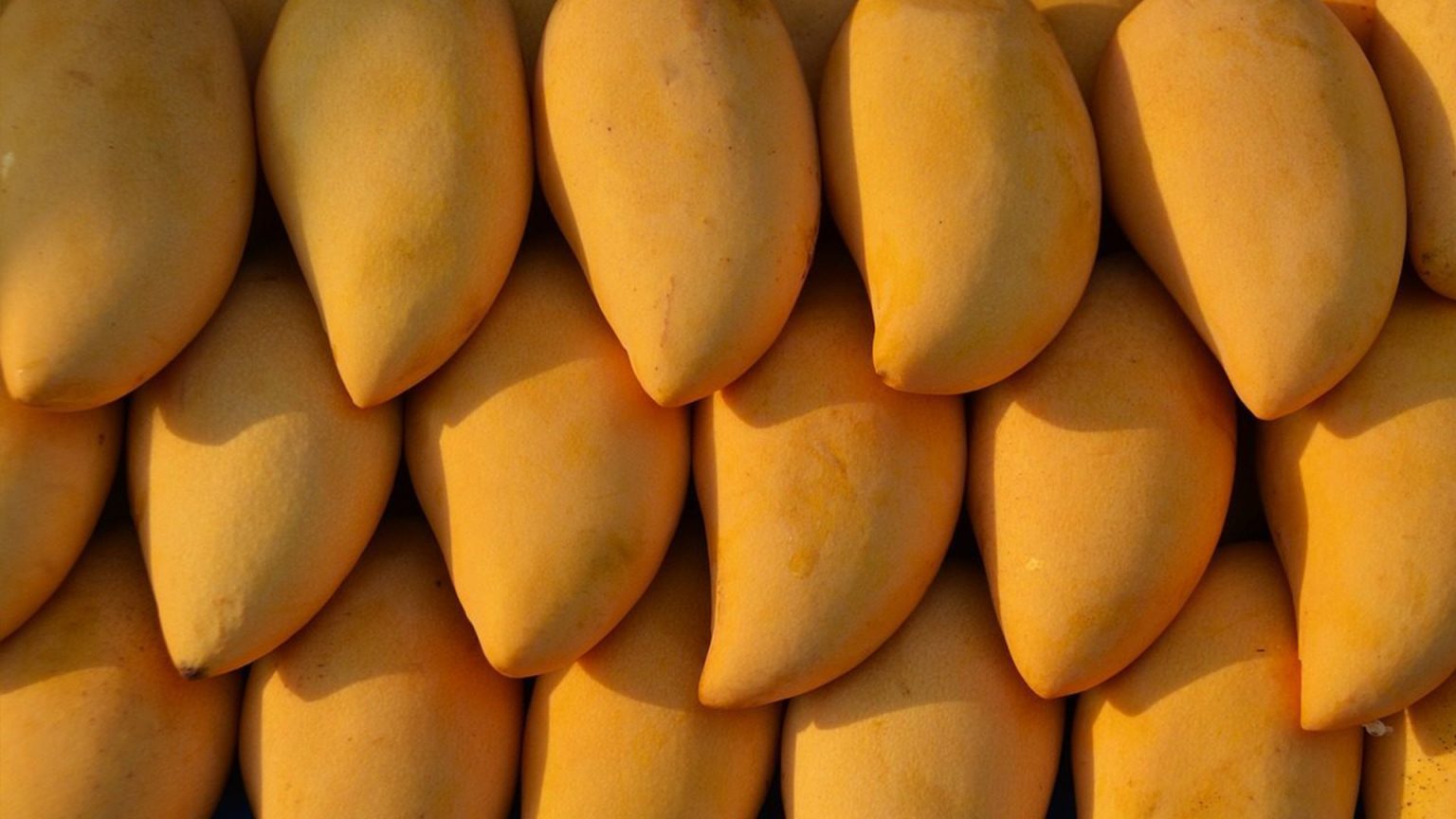 เตือนภัย  คนชรากินมะม่วงสุกติดคอดับ มีวิธีปฐมพยาบาล