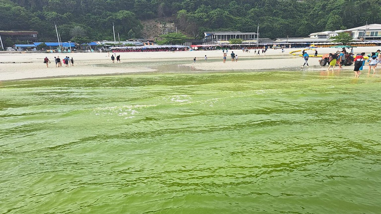 อวสานทริป ! ขี้ปลาวาฬบุกเกาะล้าน ไม่อันตรายแต่เหม็น