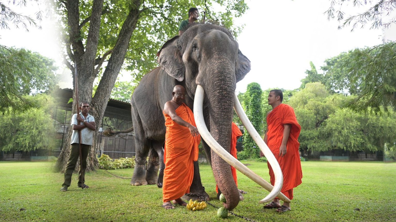 ปิดฉากภารกิจ 22 ปี พลายศักดิ์สุรินทร์ทูตสันถวไมตรี “ไทย-ศรีลังกา” กลับคืนสู่แผ่นดินเกิด
