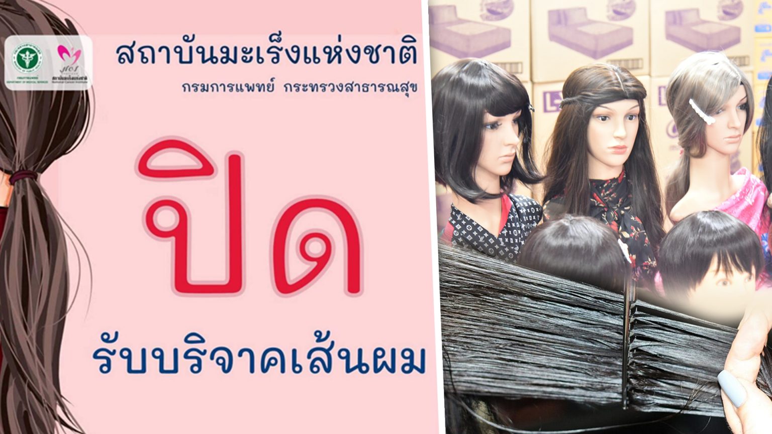 สถาบันมะเร็งแห่งชาติ ปิดรับบริจาคเส้นผม งบไม่พอทำวิก