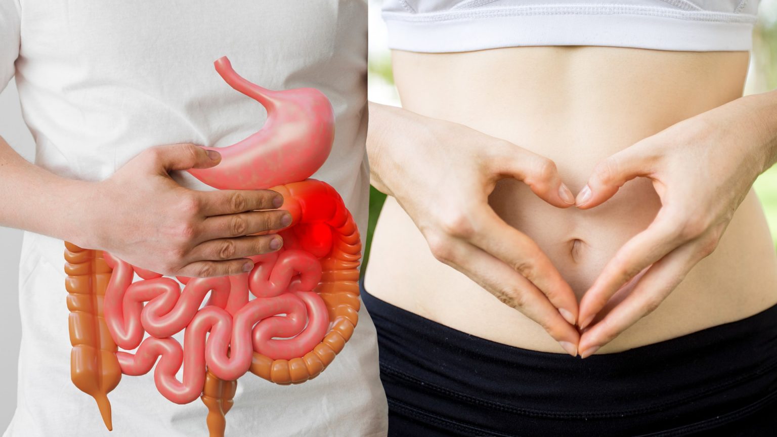 ‘จุลินทรีย์ในระบบทางเดินอาหาร’ เพื่อนตัวจิ๋วที่มีประโยชน์ต่อร่างกาย แพทย์ฯ แนะ รักษาสมดุลจุลินทรีย์ให้ดีก่อนล้มป่วย