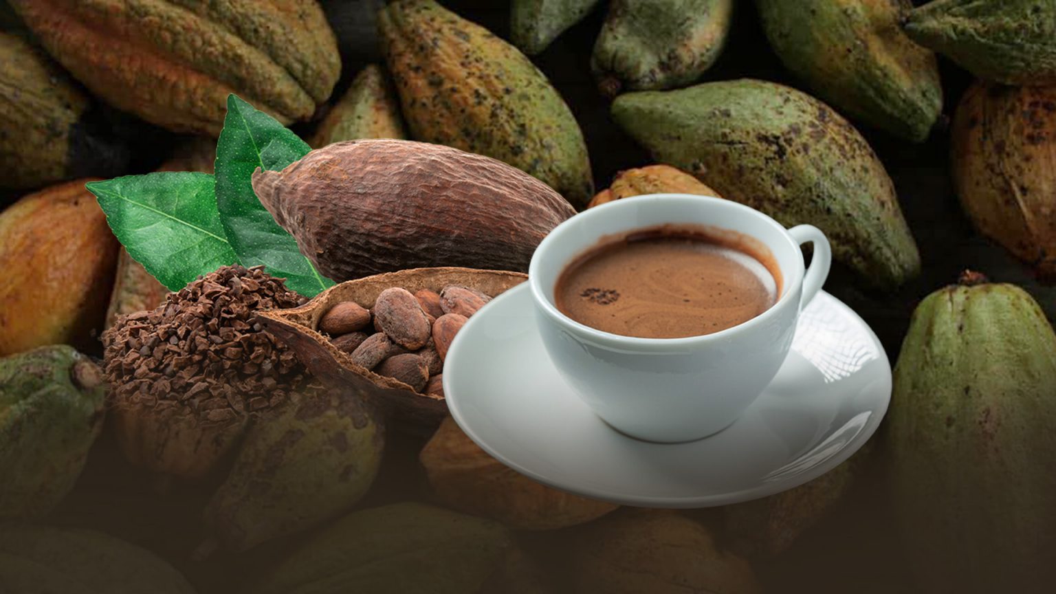 ดื่มโกโก้อย่างไร? ให้ช่วยบำรุงสมอง – ปรับสมดุลทางอารมณ์