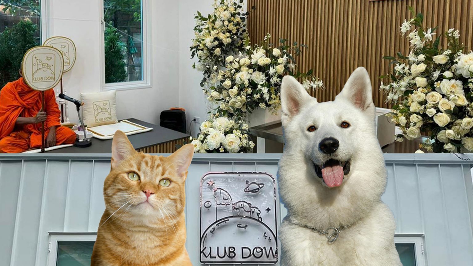 ทำความรู้จัก ‘กลับดาว’ บริการจัดพิธีศพสัตว์เลี้ยงแบบครบวงจร