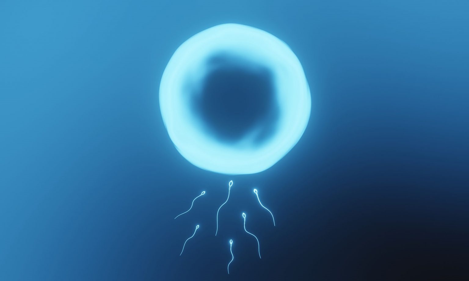 “สเปิร์มไม่เคลื่อนที่” สาเหตุหลักของภาวะมีบุตรยากในชาย