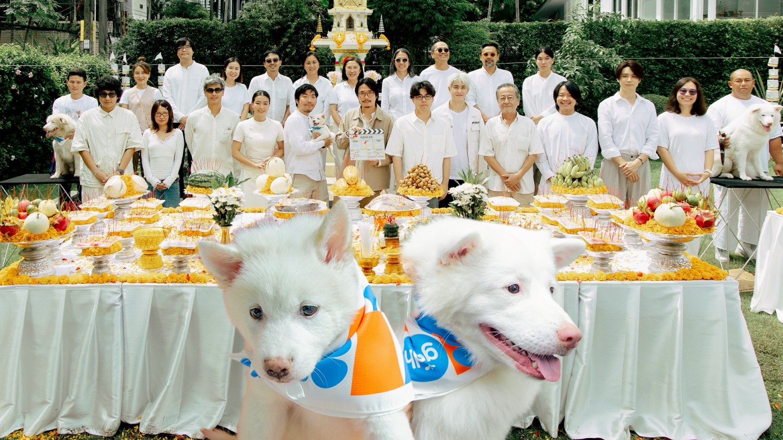 ‘GDH’ เปิดกล้อง ‘โกฮัง’ ภาพยนตร์ที่รักแท้มี 4 ขา ของ 1 หมา 3 เจ้านาย