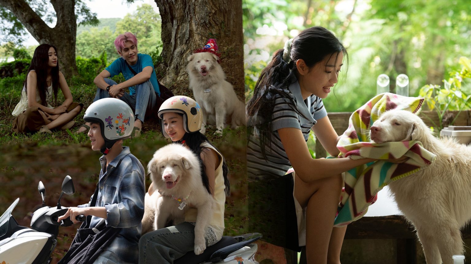 “ตู-ต้นตะวัน” อัปสกิลการแสดง ร่วมงานกับ “ลุงหิมะ” (โกฮังวัยแก่)